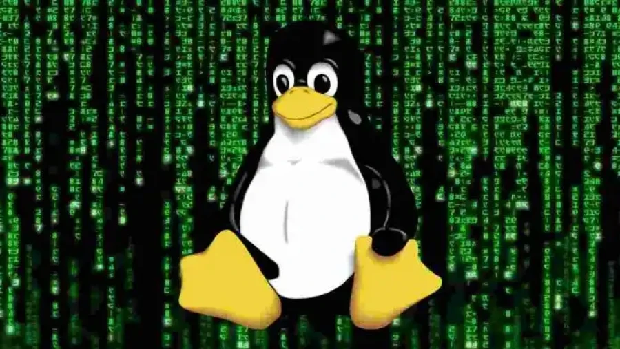 17 Yr Old RCE Flaw Can Hack Several Linux Systems  696x392 Esm W900