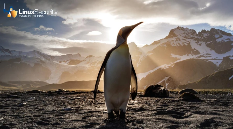 1.Penguin Landscape Esm W900
