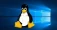 Why Linux Adoption Skyrocketed In 2020 Esm H30