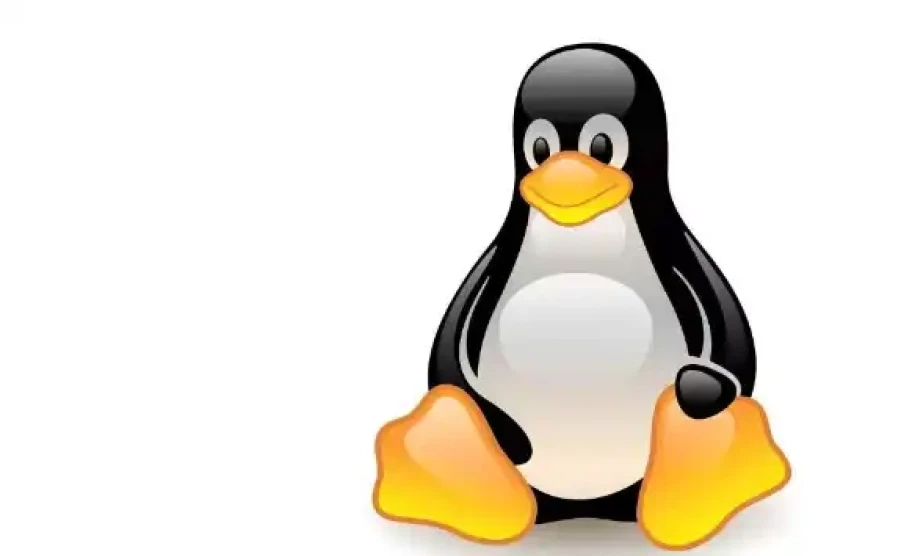 LinuxPatching Esm W900