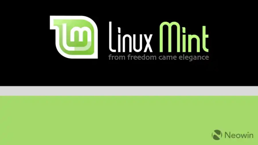 LinuxMint Esm W900