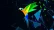 Parrot OS 411 Secure Parrot With KDE Plasma Mate And 796x445 Esm H30