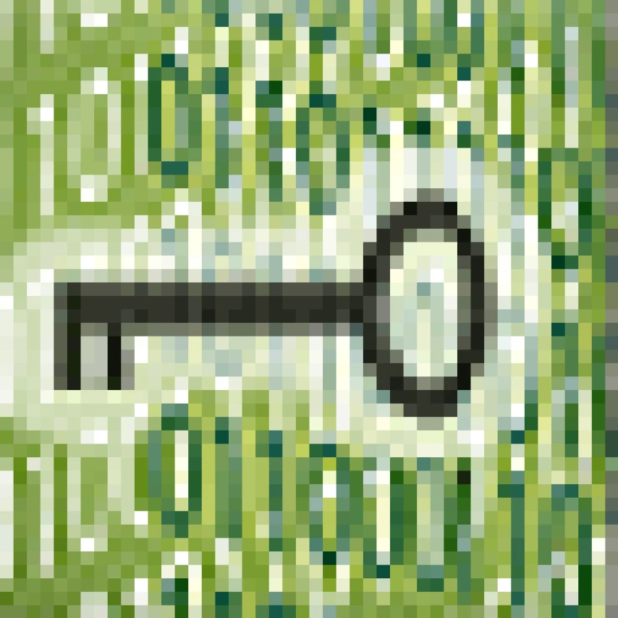Cryptography Icon Esm W900