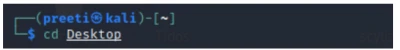 Shellphish1 Esm W400