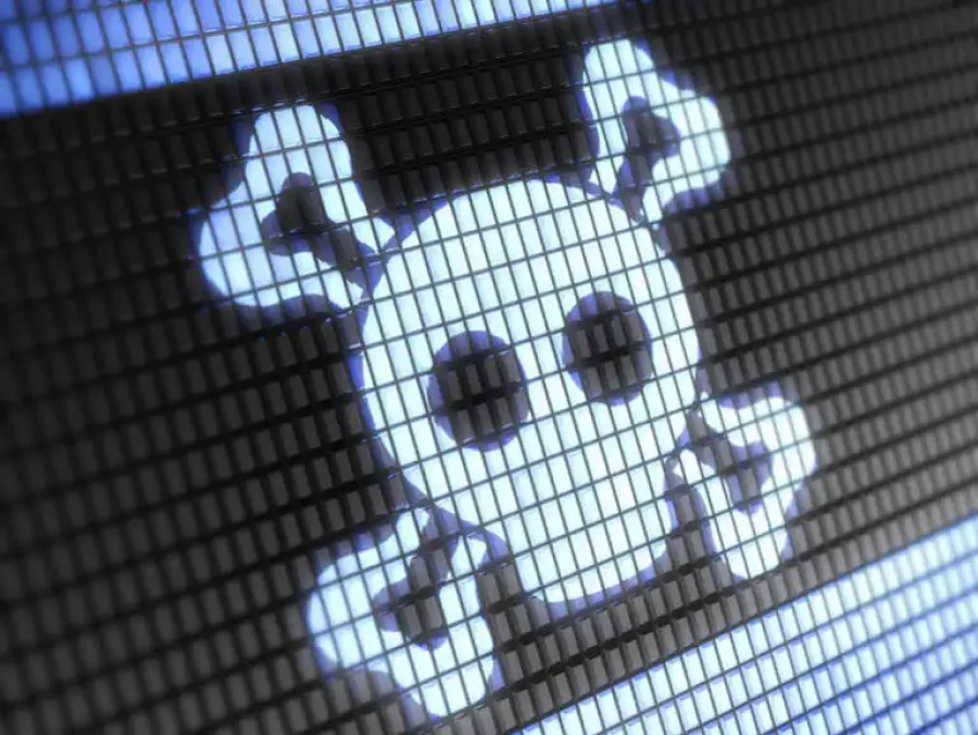 Jolly Roger Image Representing Malware Esm W900