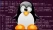 Linux Sudo Bug 696x392 Esm H30