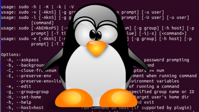 Linux Sudo Bug 696x392