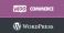 Wordpress Woocommerce Plugin Security Esm H30