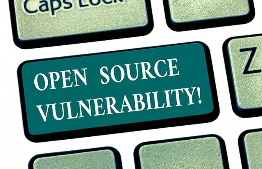 Xl 2020 Open Source Vulnerability 1 Esm W900